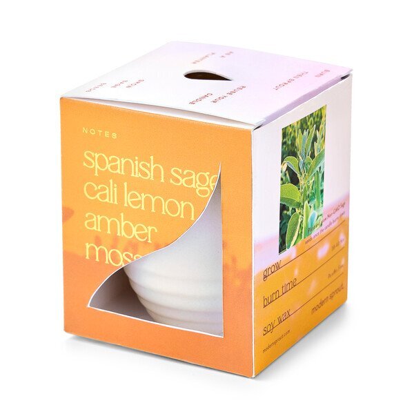 Modern Sprout® Garden Vibes Candle Sage Planter