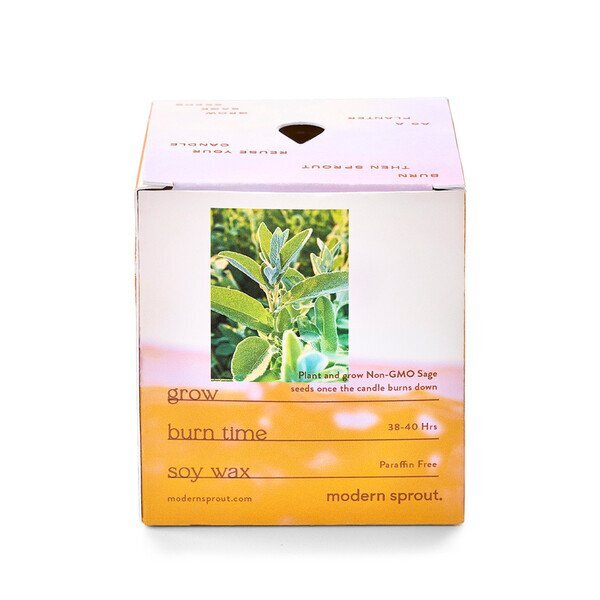 Modern Sprout® Garden Vibes Candle Sage Planter