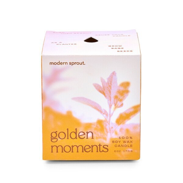 Modern Sprout® Garden Vibes Candle Sage Planter