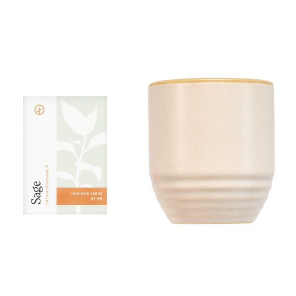 Modern Sprout® Garden Vibes Candle Sage Planter