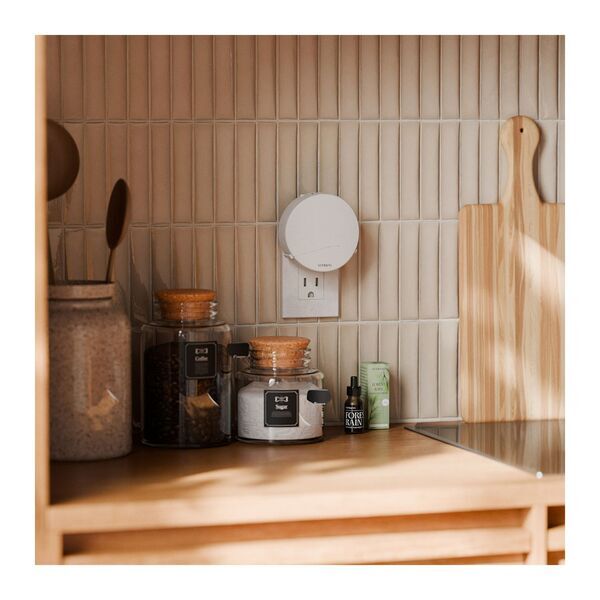 Vitruvi® Plug-In Wall Diffuser Bundle w/ Forest Rain Scent Refill