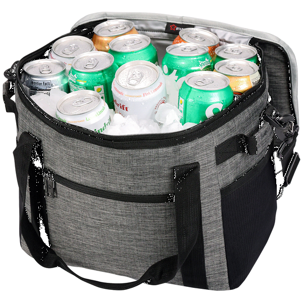 Alpine 24 Can Heathered Poly Cooler