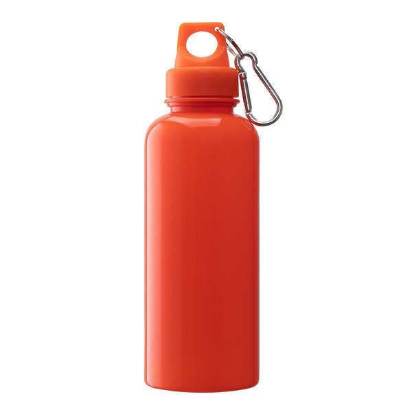 Brio Water Bottle w/ Carabiner, 20 oz.