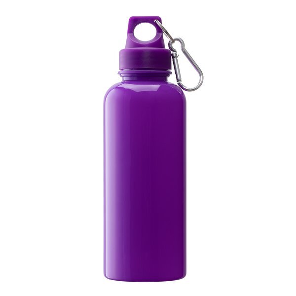 Brio Water Bottle w/ Carabiner, 20 oz.