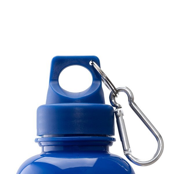 Brio Water Bottle w/ Carabiner, 20 oz.
