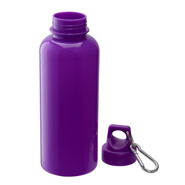 Brio Water Bottle w/ Carabiner, 20 oz.