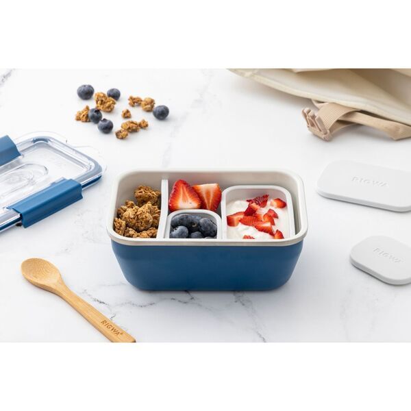 RIGWA® Travel Bento Box, 46oz.