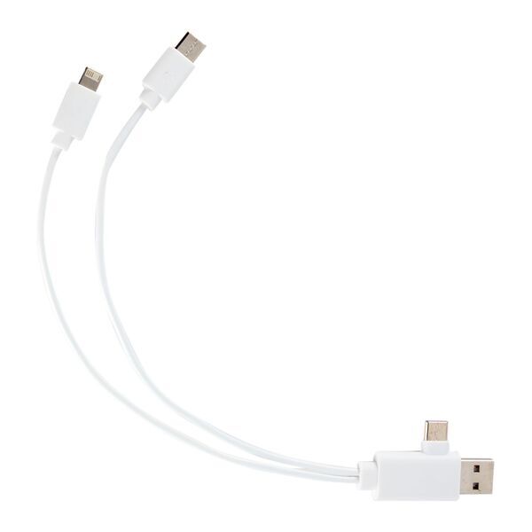 Five-in-One Recycled Charging Cable