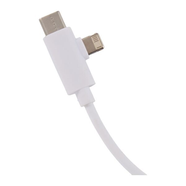 Five-in-One Recycled Long Charging Cable