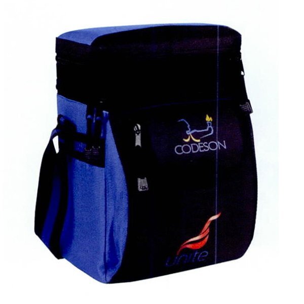 Picnic Insulated 12 Pack Cooler