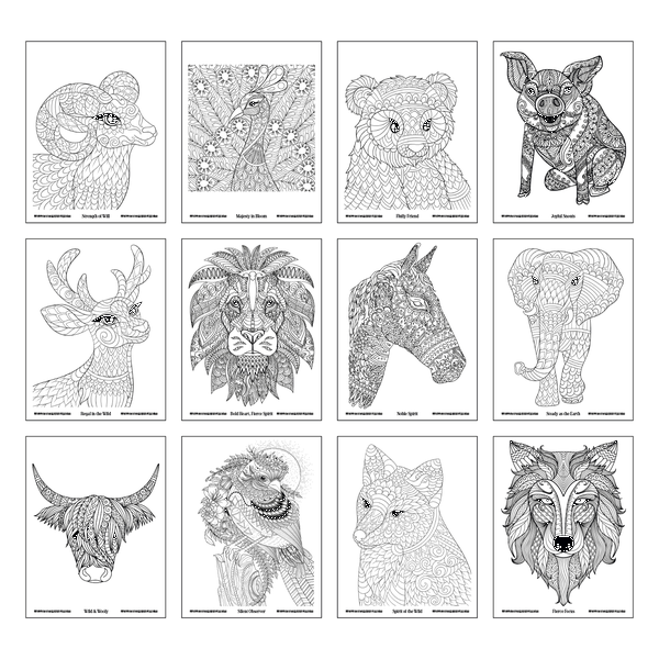 Good Value™ Wild Wonders Adult Coloring Book