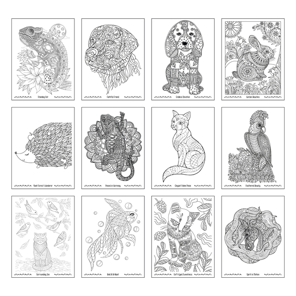 Good Value™ Unwind with Pets Adult Coloring Book