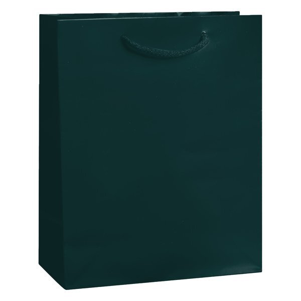 Gloss Laminated Euro Tote Bag, 8" x 10"