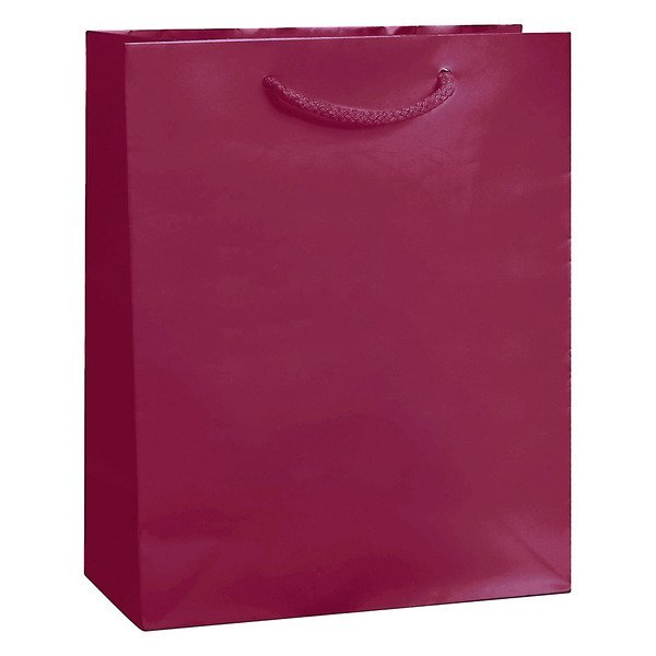 Gloss Laminated Euro Tote Bag, 8" x 10"