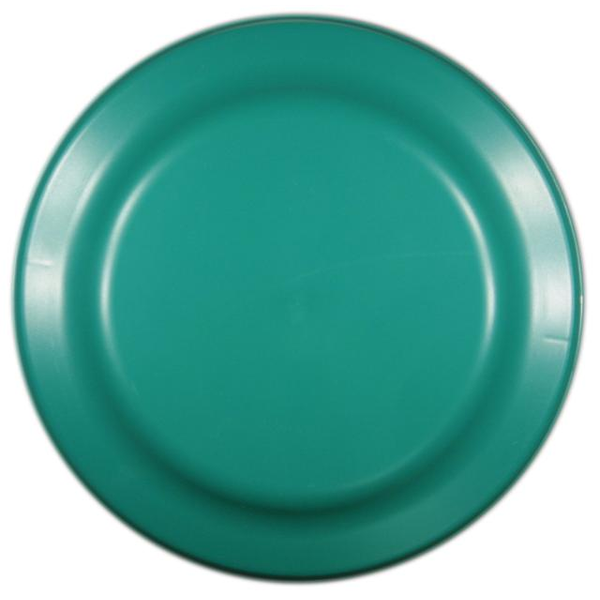 Heavy Duty Matte Finish Flyer, 9-1/4"