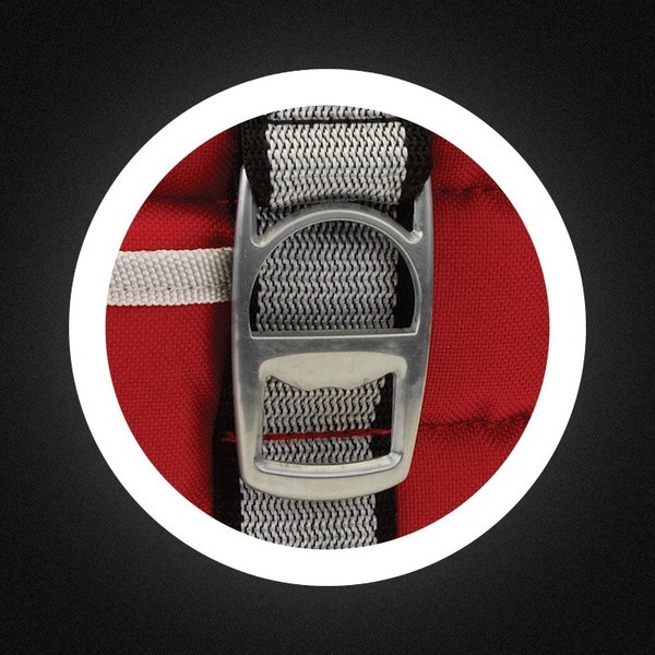 Padded 12 Can Cooler