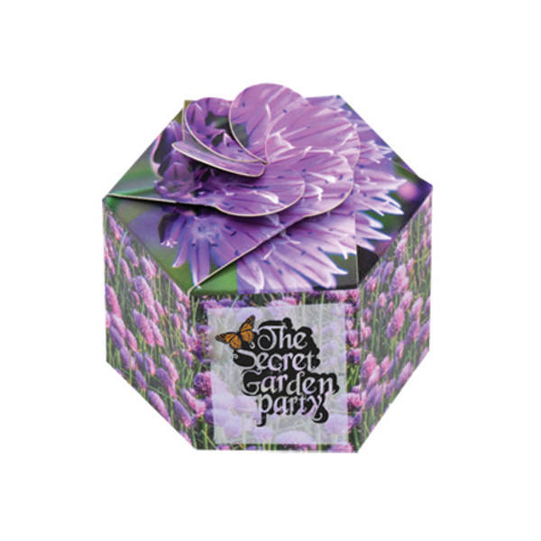 Pop-Up Flower Planter Kit