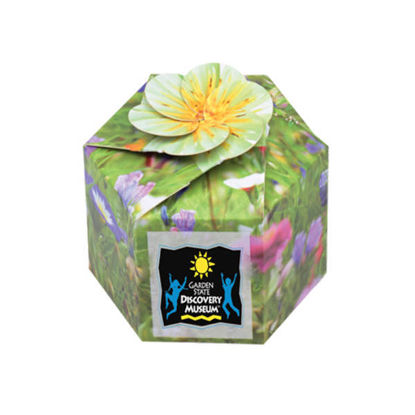 Pop-Up Flower Planter Kit