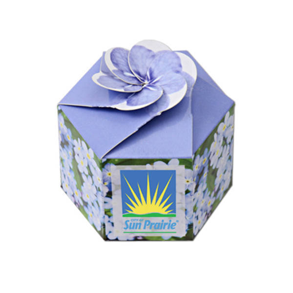 Pop-Up Flower Planter Kit