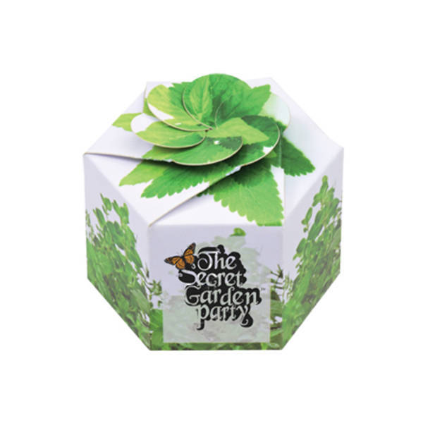 Pop-Up Flower Planter Kit