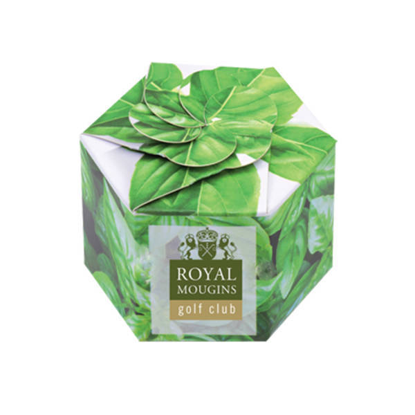 Pop-Up Flower Planter Kit