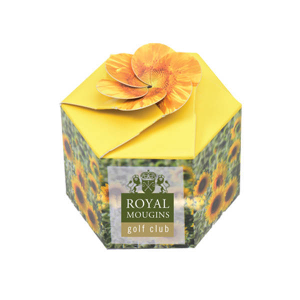 Pop-Up Flower Planter Kit