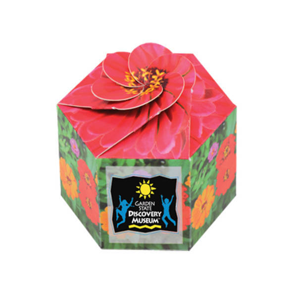 Pop-Up Flower Planter Kit