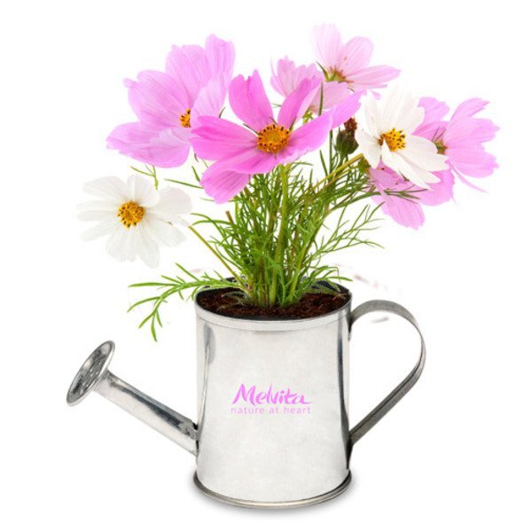 Watering Can Flower Planter Kit