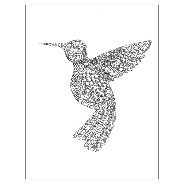 Adult Coloring Book, Nature Design Theme