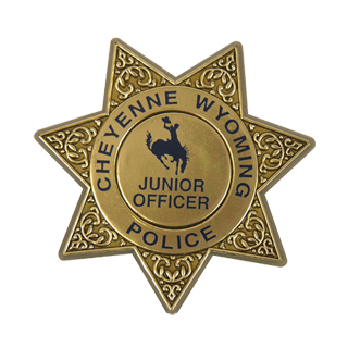 Junior 7 Point Sheriff Star Badge with Pocket Clip, Custom | Foremost ...