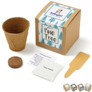 Pine Tree Growables Planter in Kraft Gift Box w/ Label