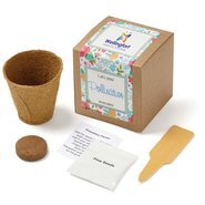 Wildflowers Growables Planter in Kraft Gift Box w/ Label