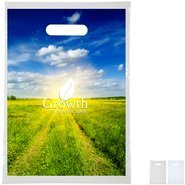 Digital Full Color Plastic Die Cut Take Home Bag, 9" x 13"