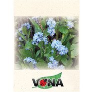 Forget Me Not Seed Packet
