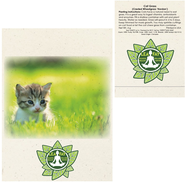 Cat Grass Seed Packet