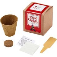 Root Chakra Growables Planter in Kraft Gift Box w/ Label