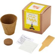 Solar Chakra Growables Planter in Kraft Gift Box w/ Label