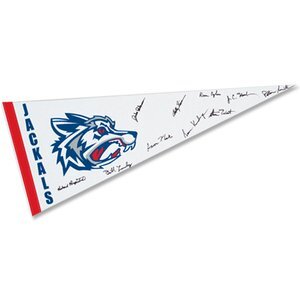 White Felt Pennant, 12" x 30"