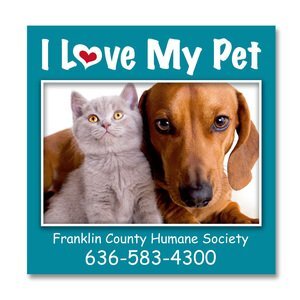 Square Magnet, Large