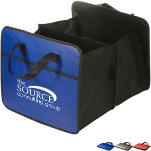 Expandable Auto Organizer