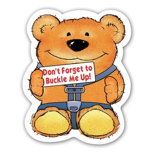 Buckle Up Bear Magnet