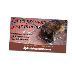 Sleeping Cat Design Magnet