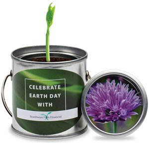 Paint Pail Flower Planter Kit