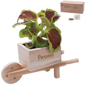 Wooden Wheel Barrow Blossom Kit
