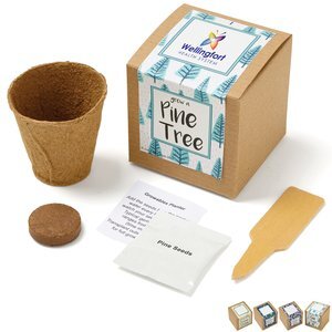 Pine Tree Growables Planter in Kraft Gift Box w/ Label