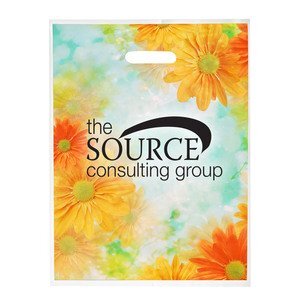 Digital Full Color Die Cut Plastic Bag, 12"W x 16"H