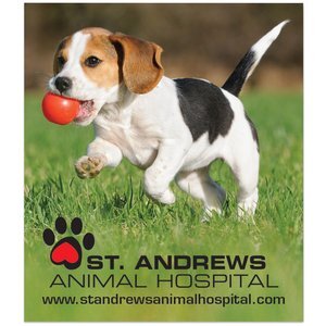 Rectangle Magnet, 3-1/2" x 4"