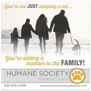 Square Magnet, 3-1/2" x 3-1/2"