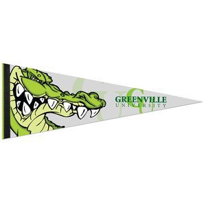 Premium Felt Pennant, 9" x 24"