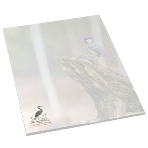 BIC® Adhesive 50 Sheet Large Notepad, 6" x 9"